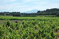 2012-06-05 - (16)
